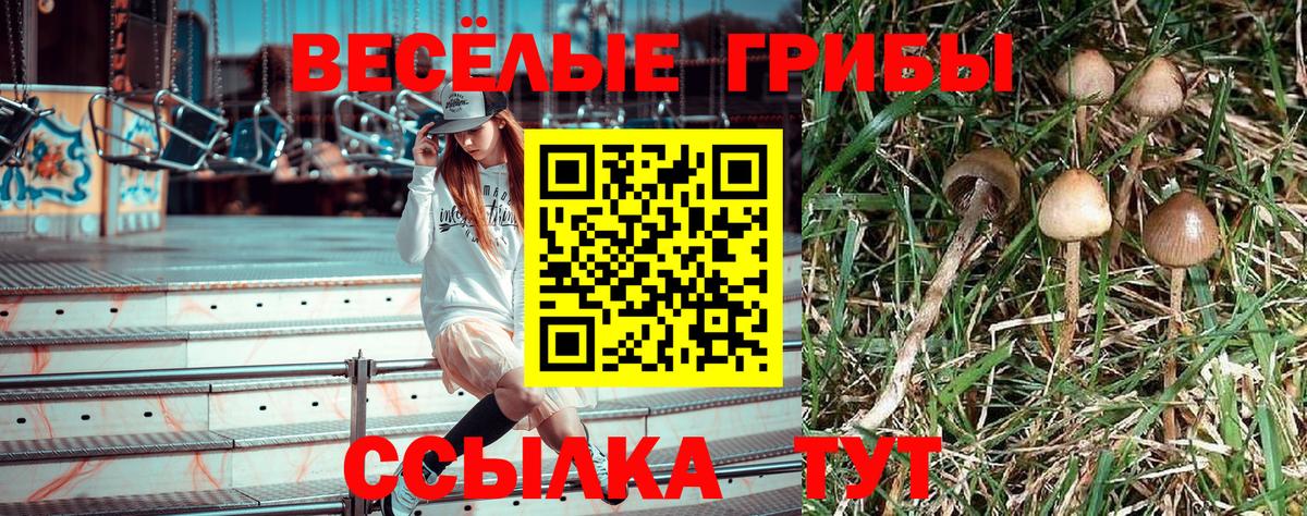 Галлюциногенные грибы мухоморы  Вход с VPN  Азнакаево  Галлюциногенные грибы Magic Shrooms 